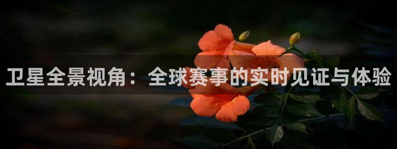 绿茵直播体育nba送红红单v2.红单足球.top：卫星全景视角：全球赛事的实时见证与体验