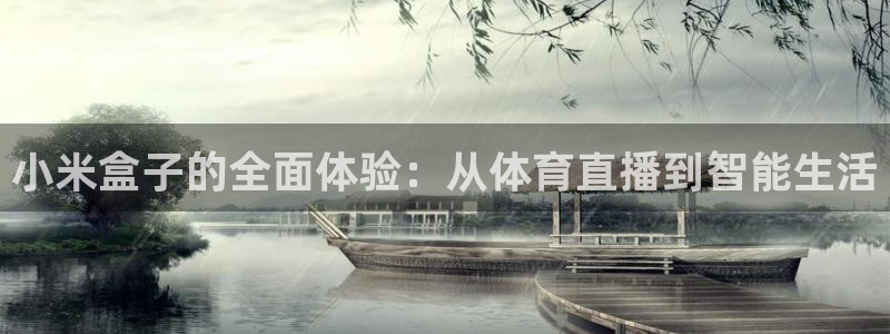 绿茵直播体育免费观看高清：小米盒子的全面体验：从体育直播到智能生活