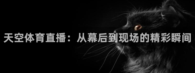 绿茵直播官网：天空体育直播：从幕后到现场的精彩瞬间