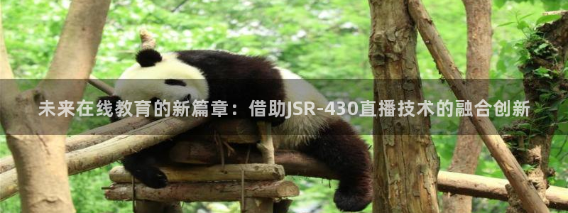 绿茵直播体育免费观看高清：未来在线教育的新篇章：借助JSR-430直播技术的融合创新