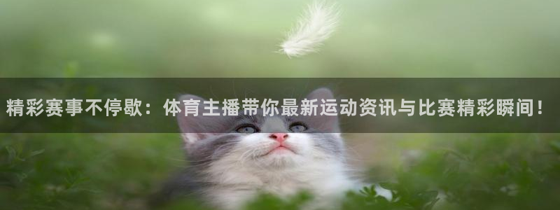 绿茵体育直播：精彩赛事不停歇：体育主播带你最新运动资讯与比赛精彩瞬间！