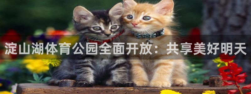 绿茵直播足球直播网：淀山湖体育公园全面开放：共享美好明天