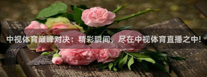 足球之绿茵球王：中视体育巅峰对决：精彩瞬间，尽在中视体育直播之中!