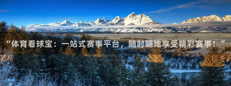 绿茵足球直播：“体育看球宝：一站式赛事平台，随时随地享受精彩赛事！”