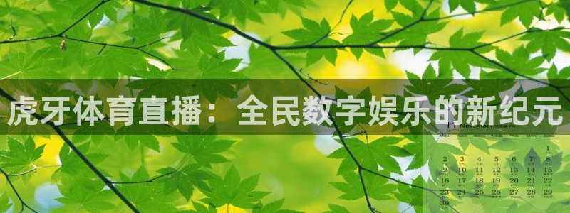 绿茵直播在线观看：虎牙体育直播：全民数字娱乐的新纪元