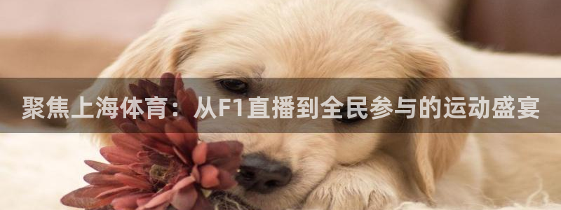 [足球]绿茵魔术师：聚焦上海体育：从F1直播到全民参与的运动盛宴